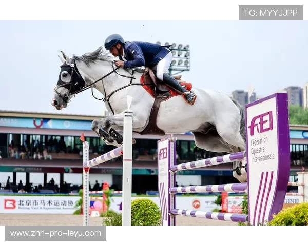 瑞士马术协会设立青少年马术奖学金，支持优秀学员发展。，马术证书世界名校优先录取
